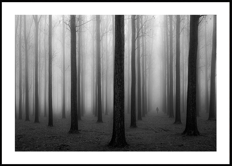 en una niebla