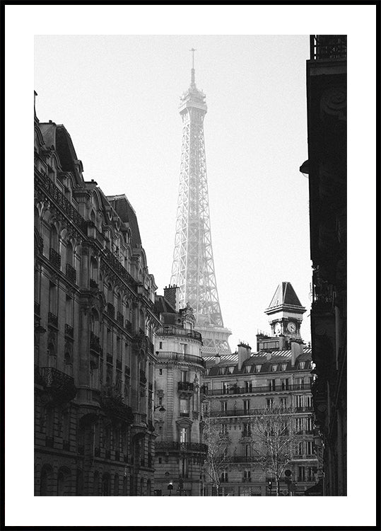 Torre Eiffel París Blanco y Negro Póster