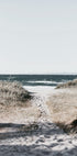 Sandy Path To The Ocean Plakat - Posterbox.dk