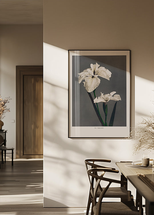 Iris Kæmpferi Póster