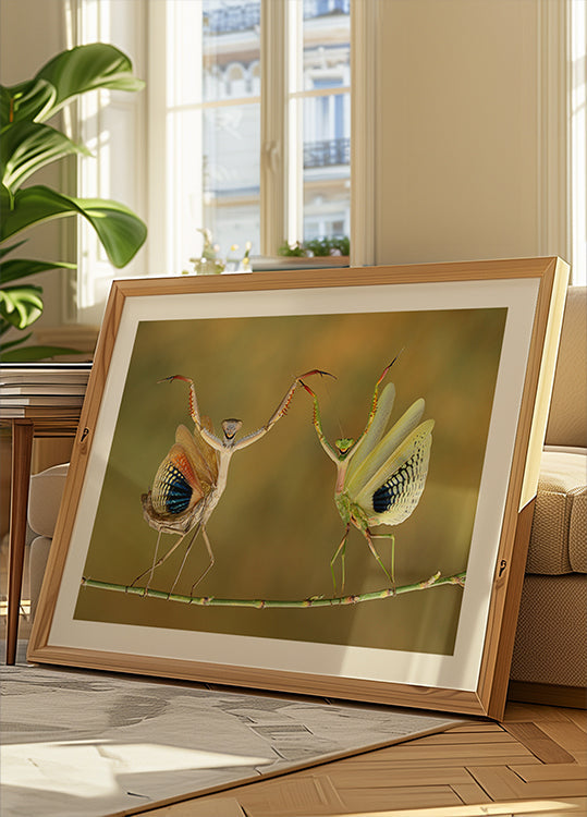 Tiempo de la funcion