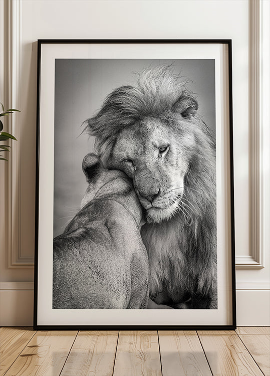 ¡Amor africano! Póster