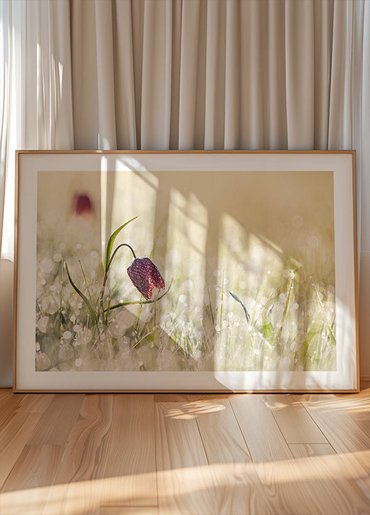 rocío de la mañana