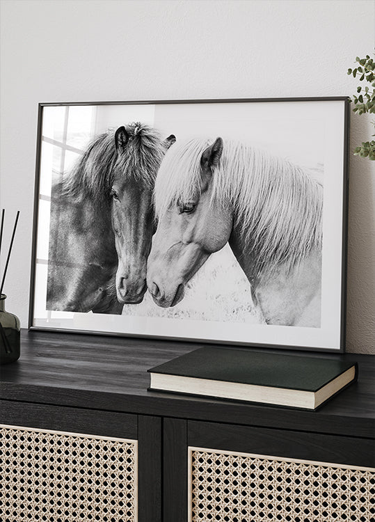 Amor de caballo Póster