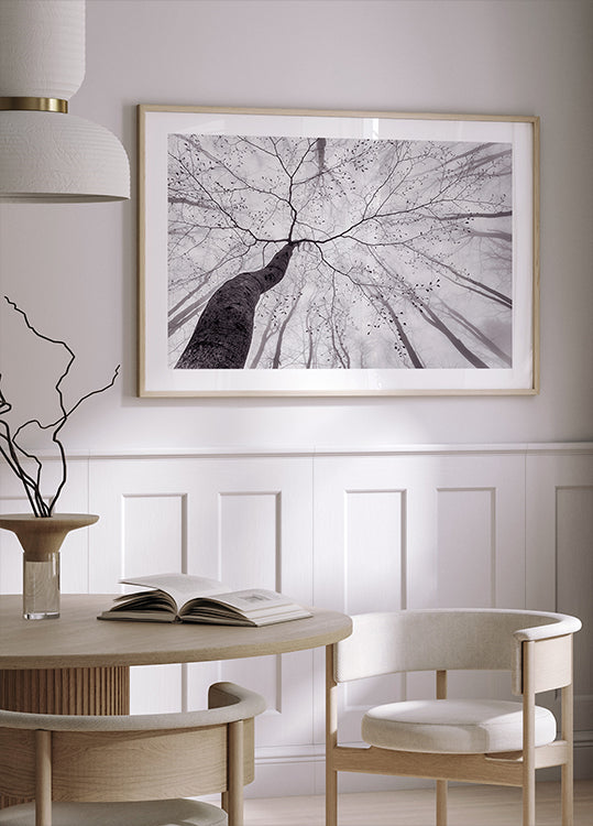 Póster Una vista de la copa del árbol