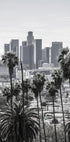 Los Angeles Plakat - Posterbox.no