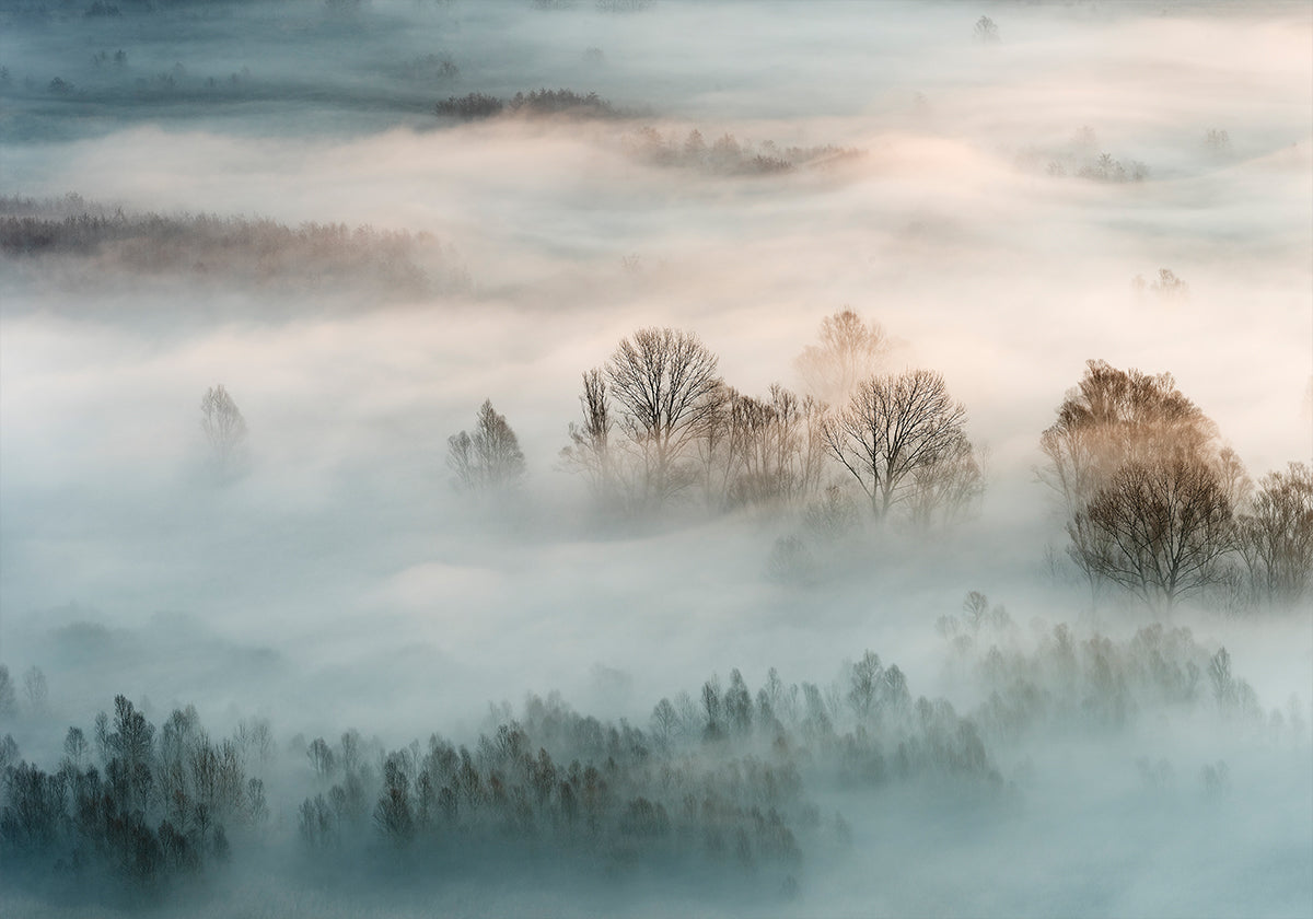 Póster Niebla de invierno