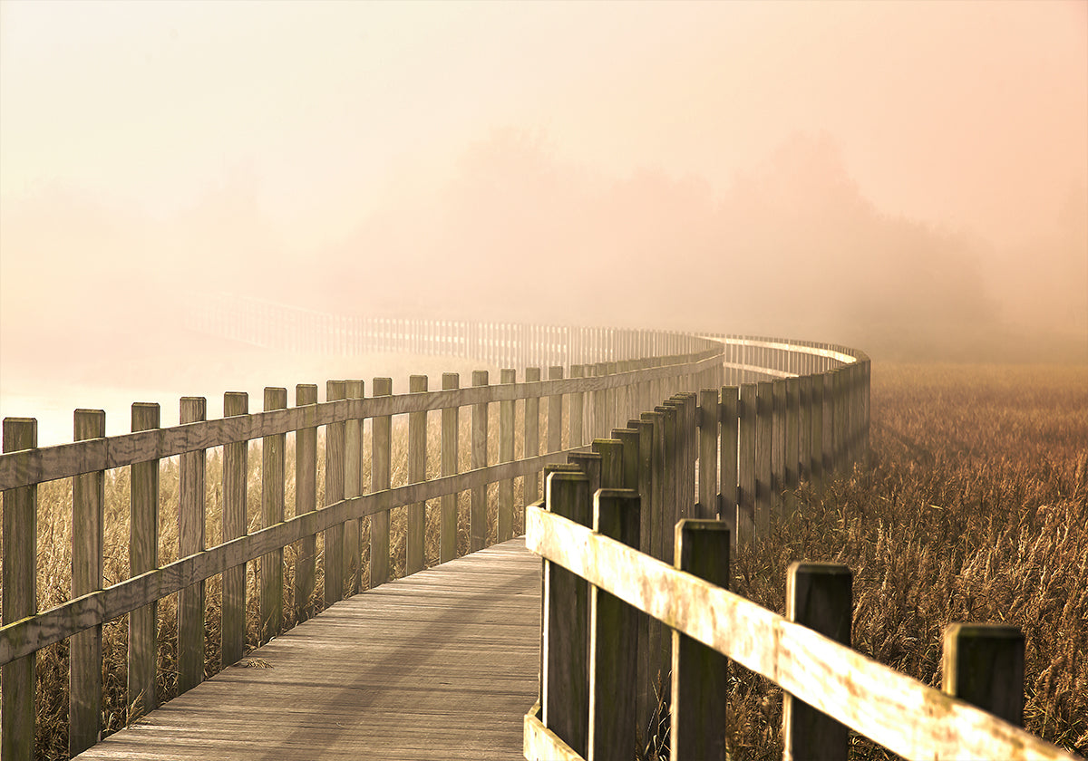 El Camino se vuelve más brillante.