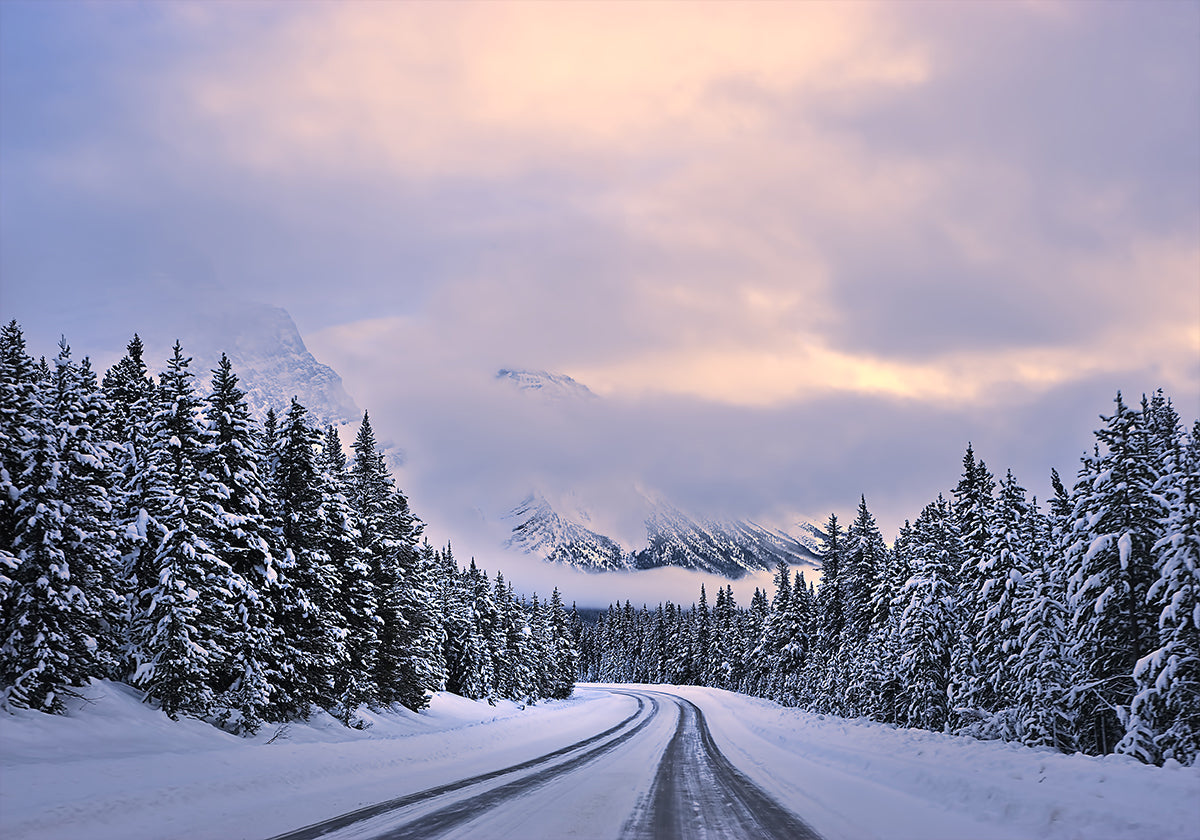 To the Wonderland Plakat