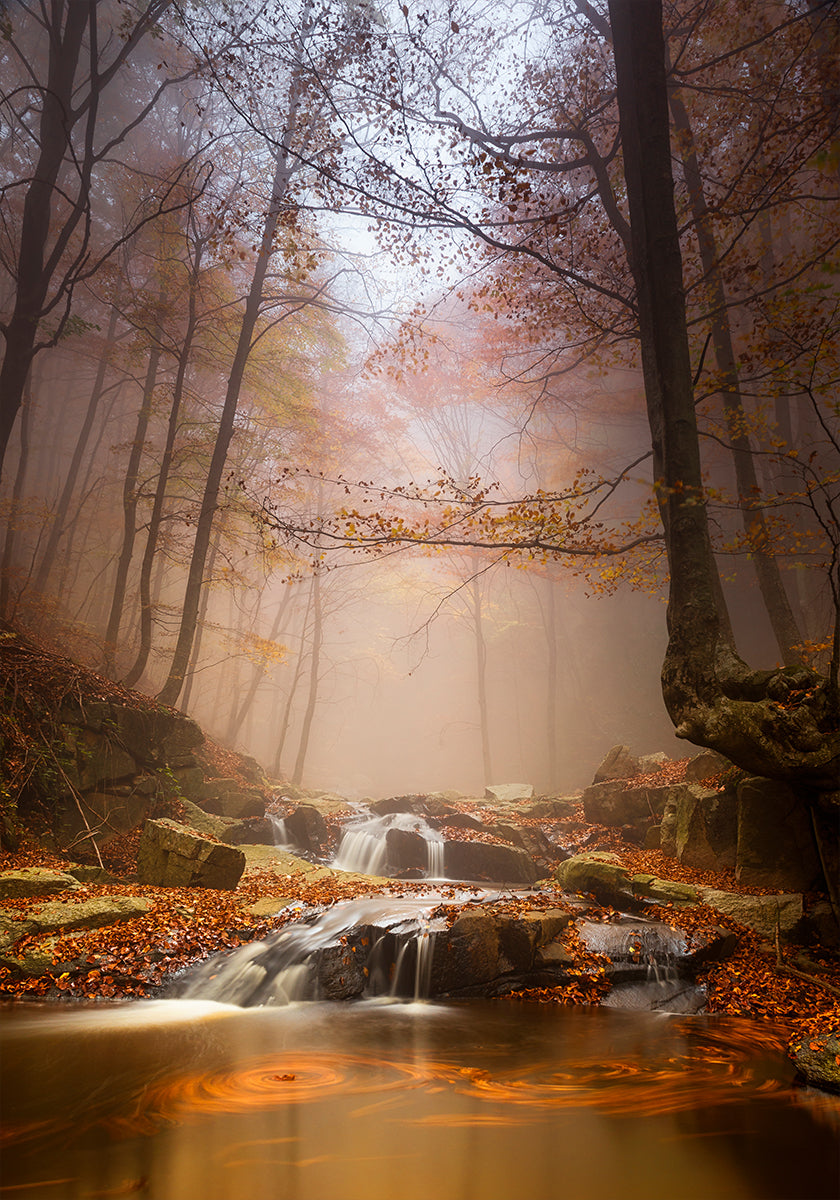 Niebla mistyc Póster