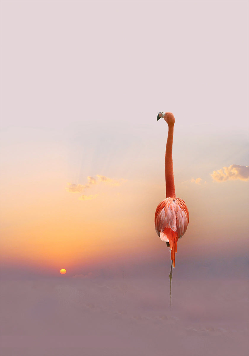 atardecer...