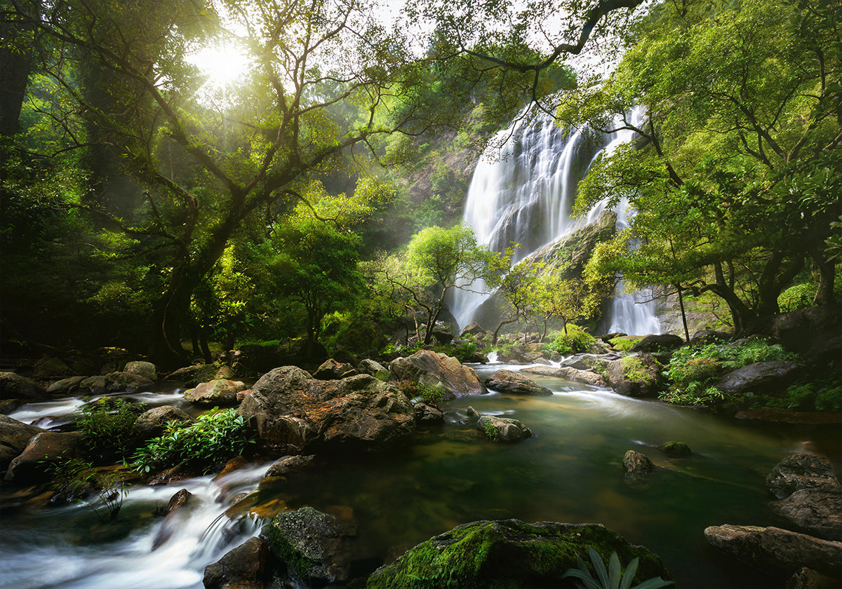 Póster Arroyo de montaña