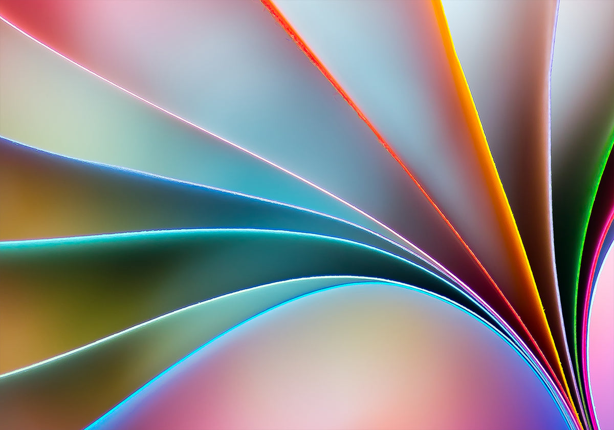 colores Póster