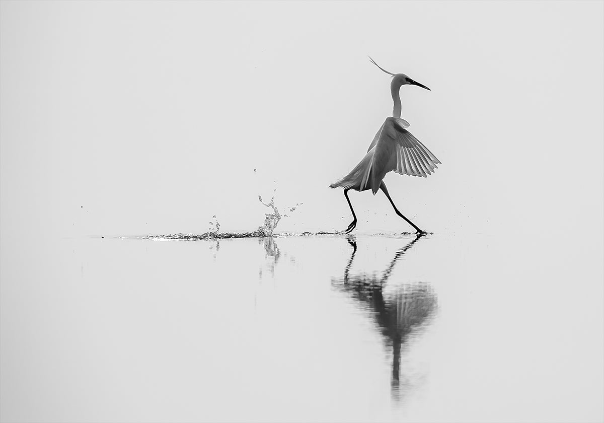 "Bailando en el agua" Póster