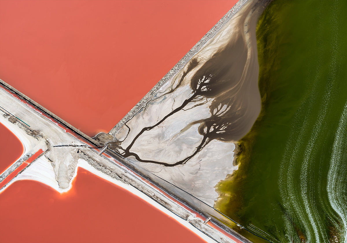 pintura de la naturaleza