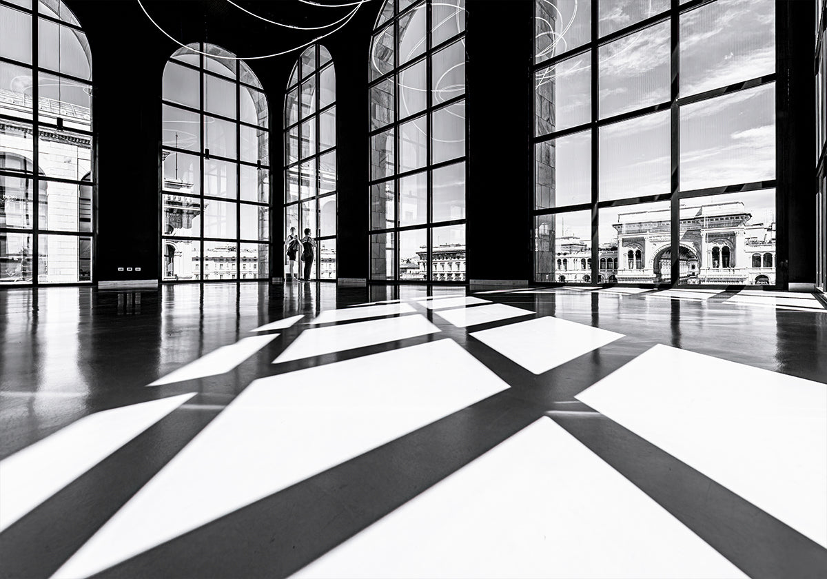 Luces y sombras