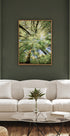 Beech Forest Plakat - Posterbox.no