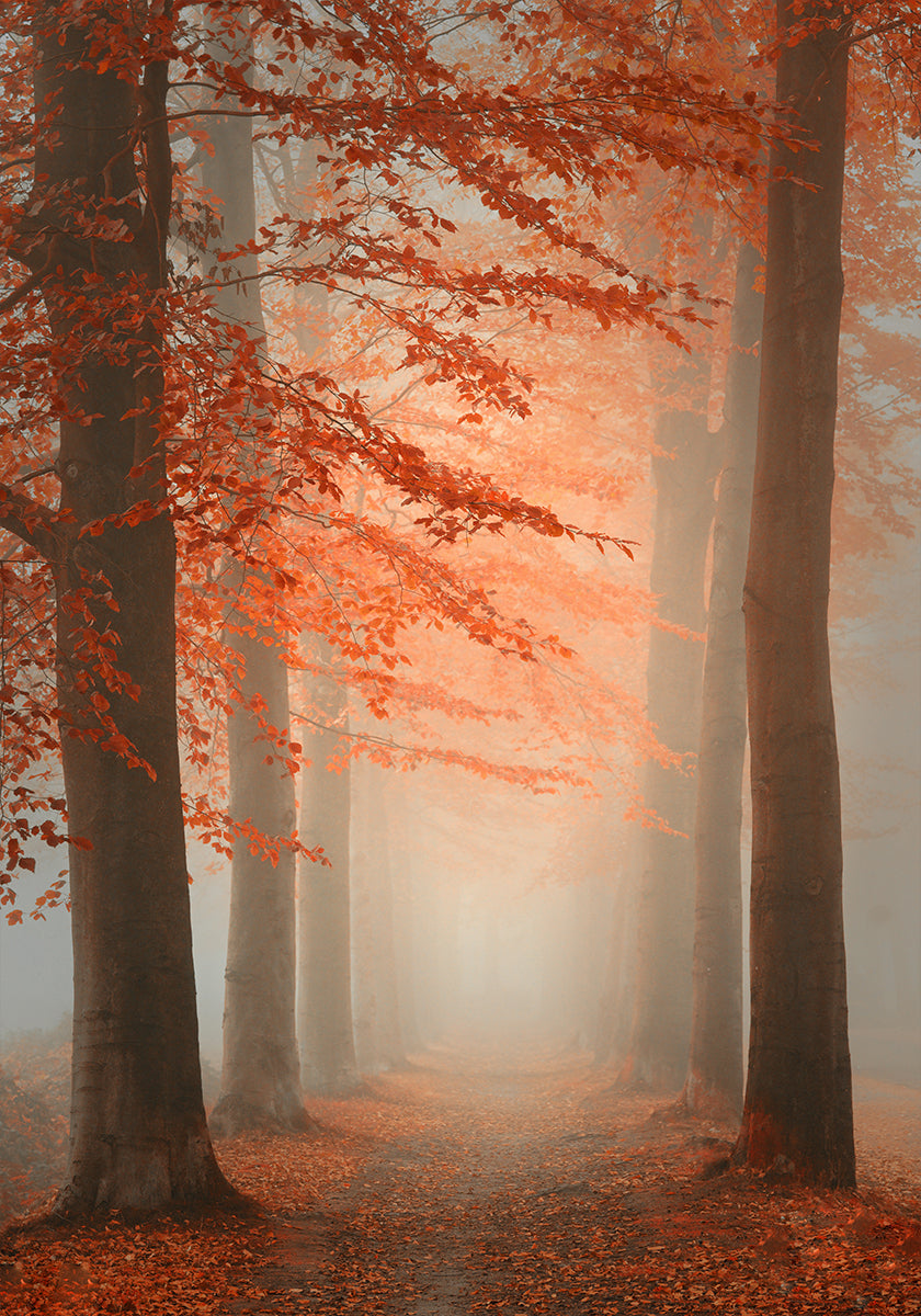 Sueño de otoño Póster
