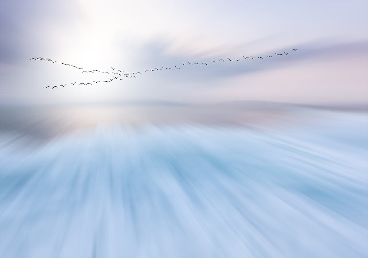 volar sobre Póster