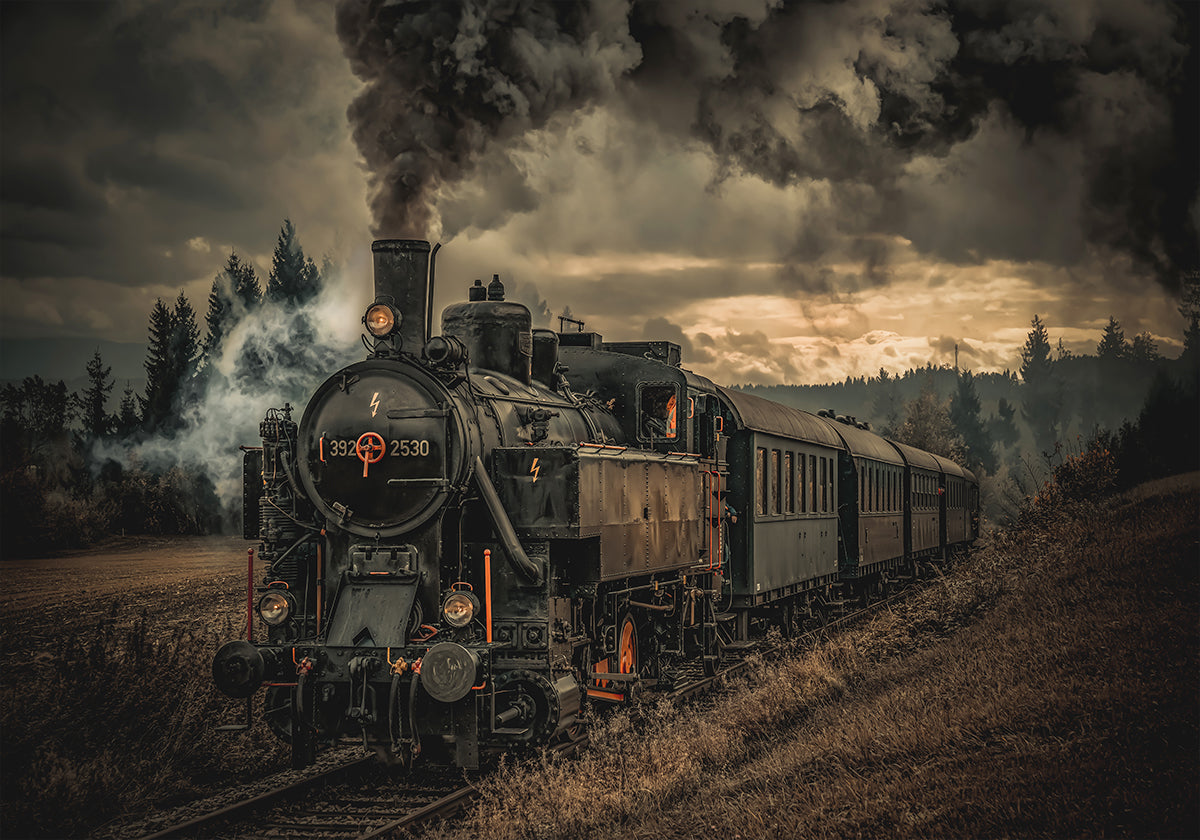 Póster Tren buscador de oro