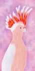 Pink Cocatoo Bird (NEW) - Posterbox