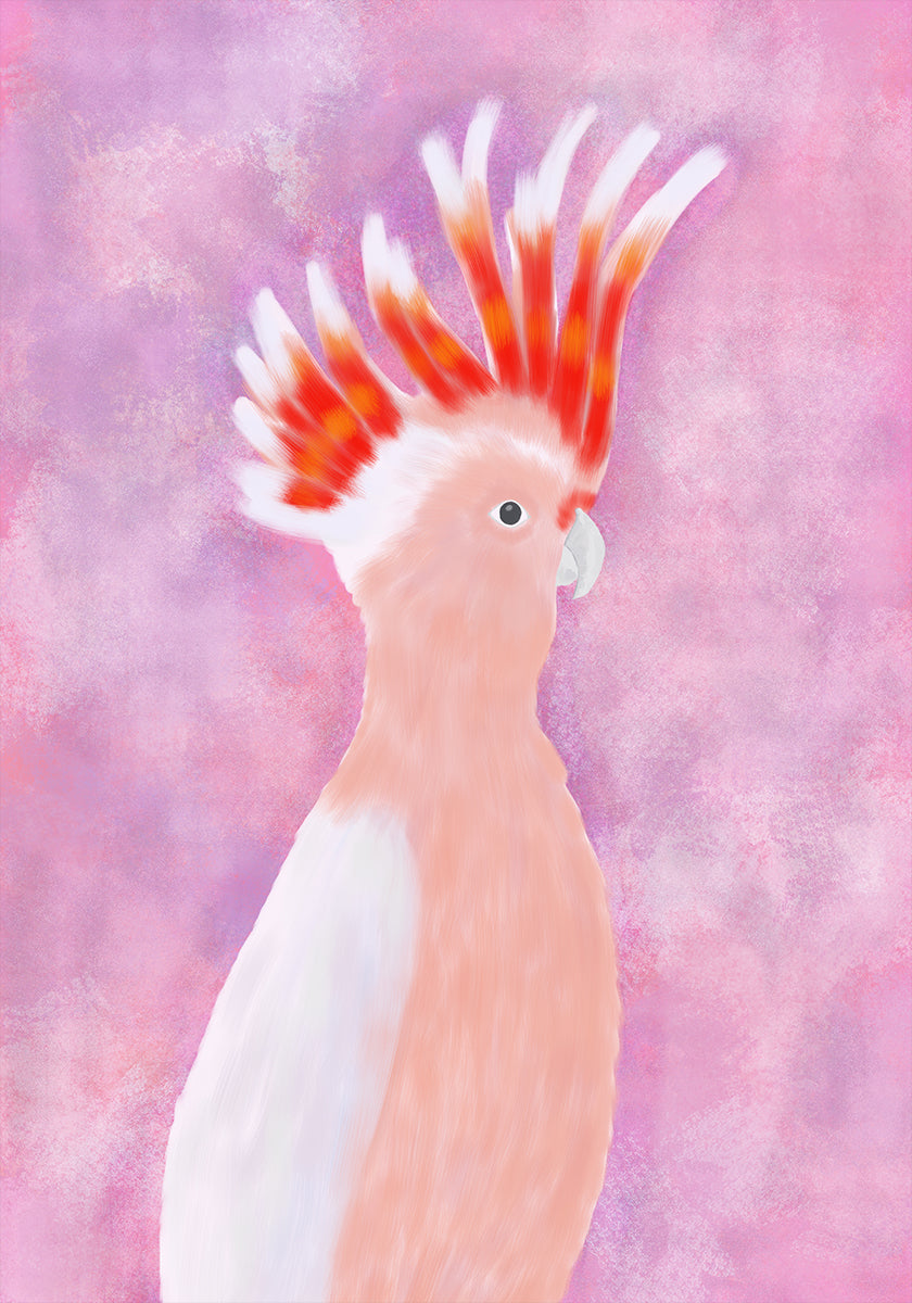 Pink Cocatoo Bird (NEW) - Posterbox