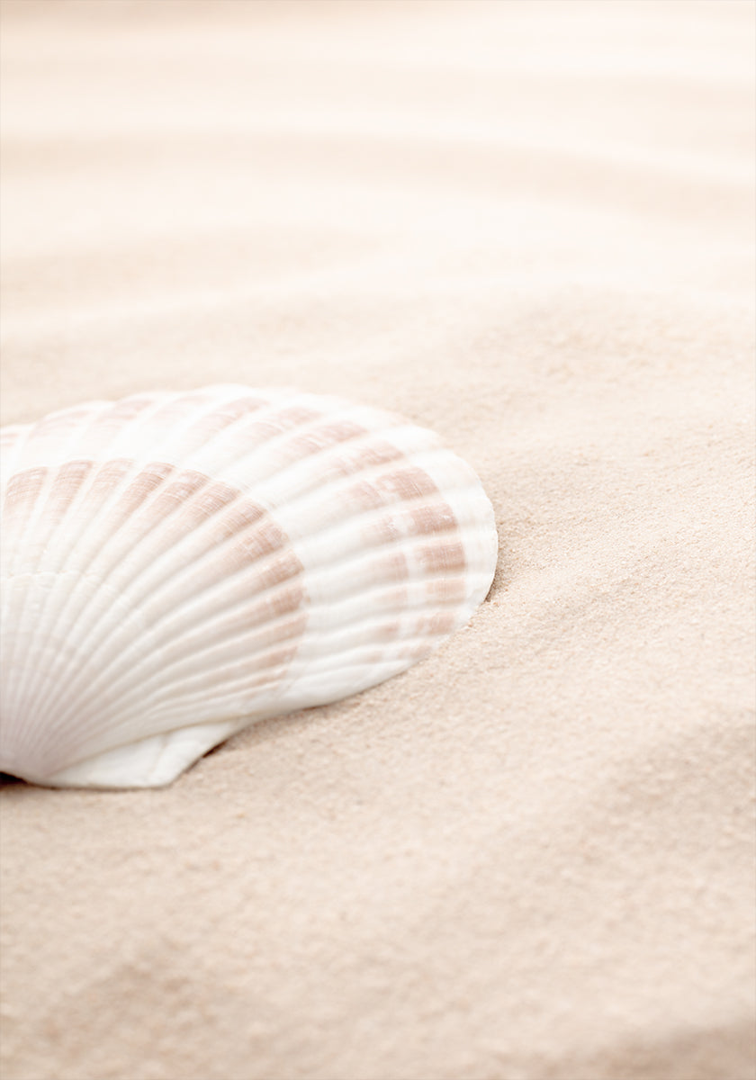 Póster Shell_3