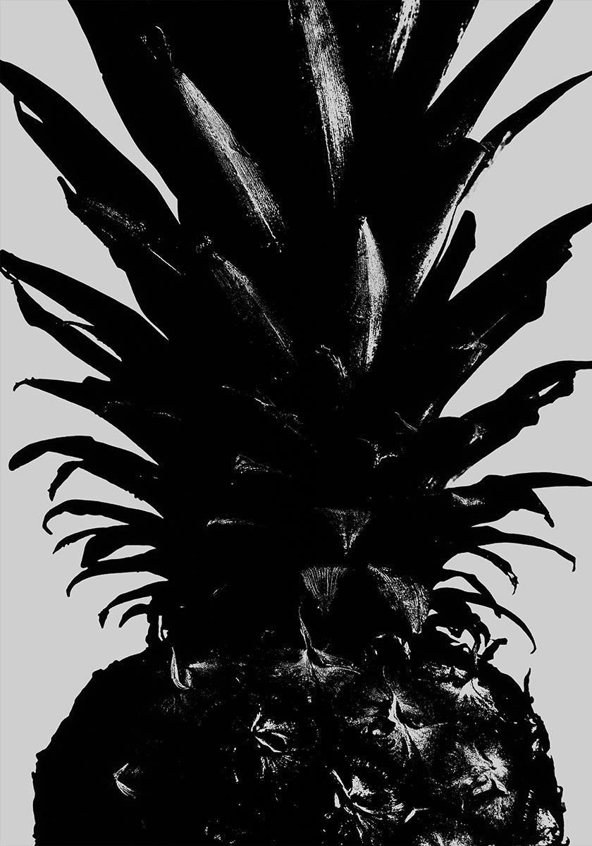piña bw
