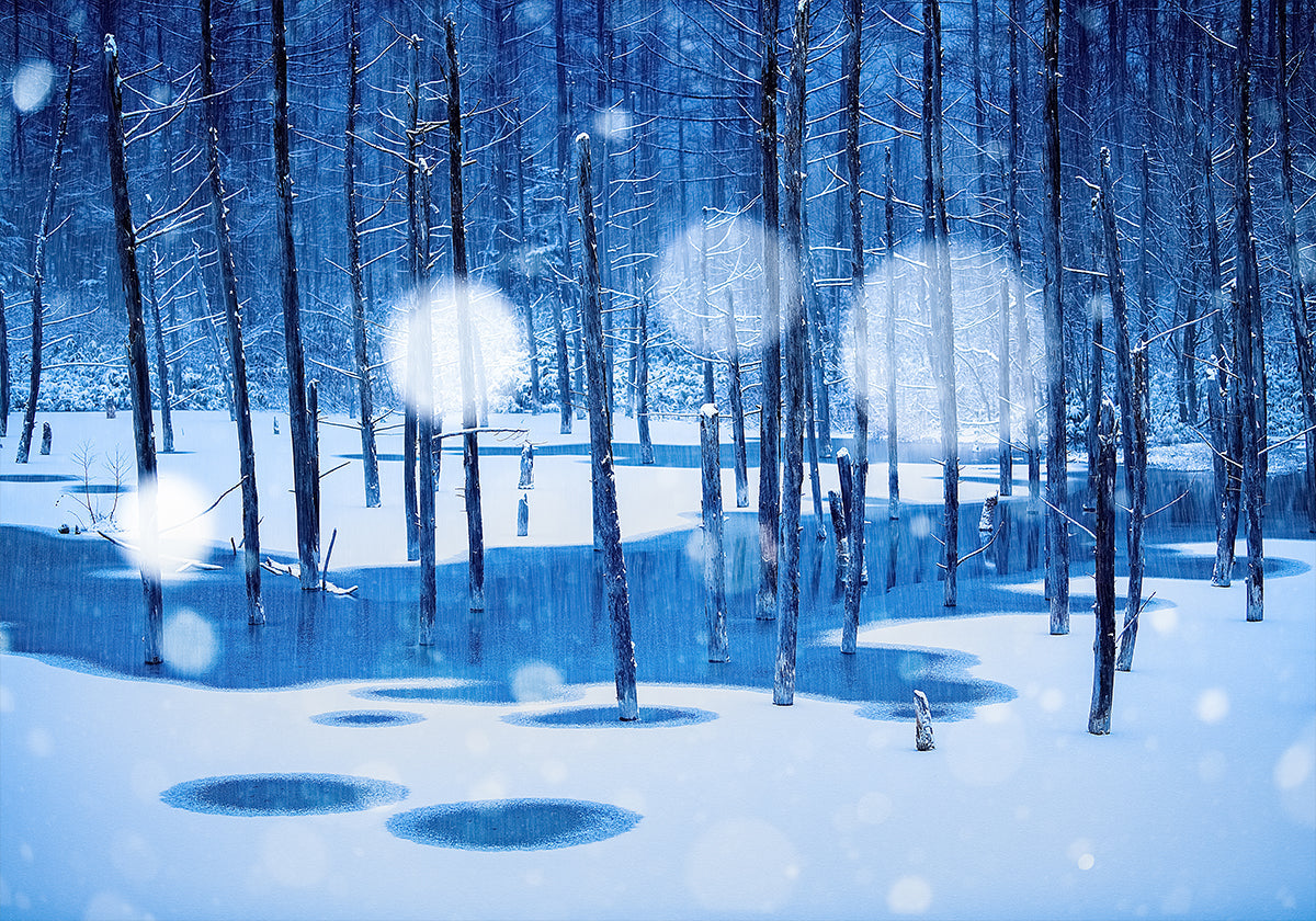 País de las hadas Póster