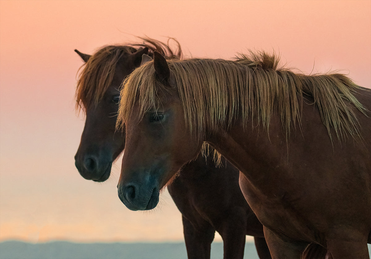 Mirando hacia adelante Póster