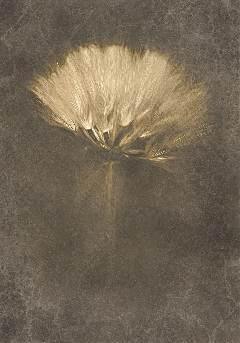 Días misteriosos Póster