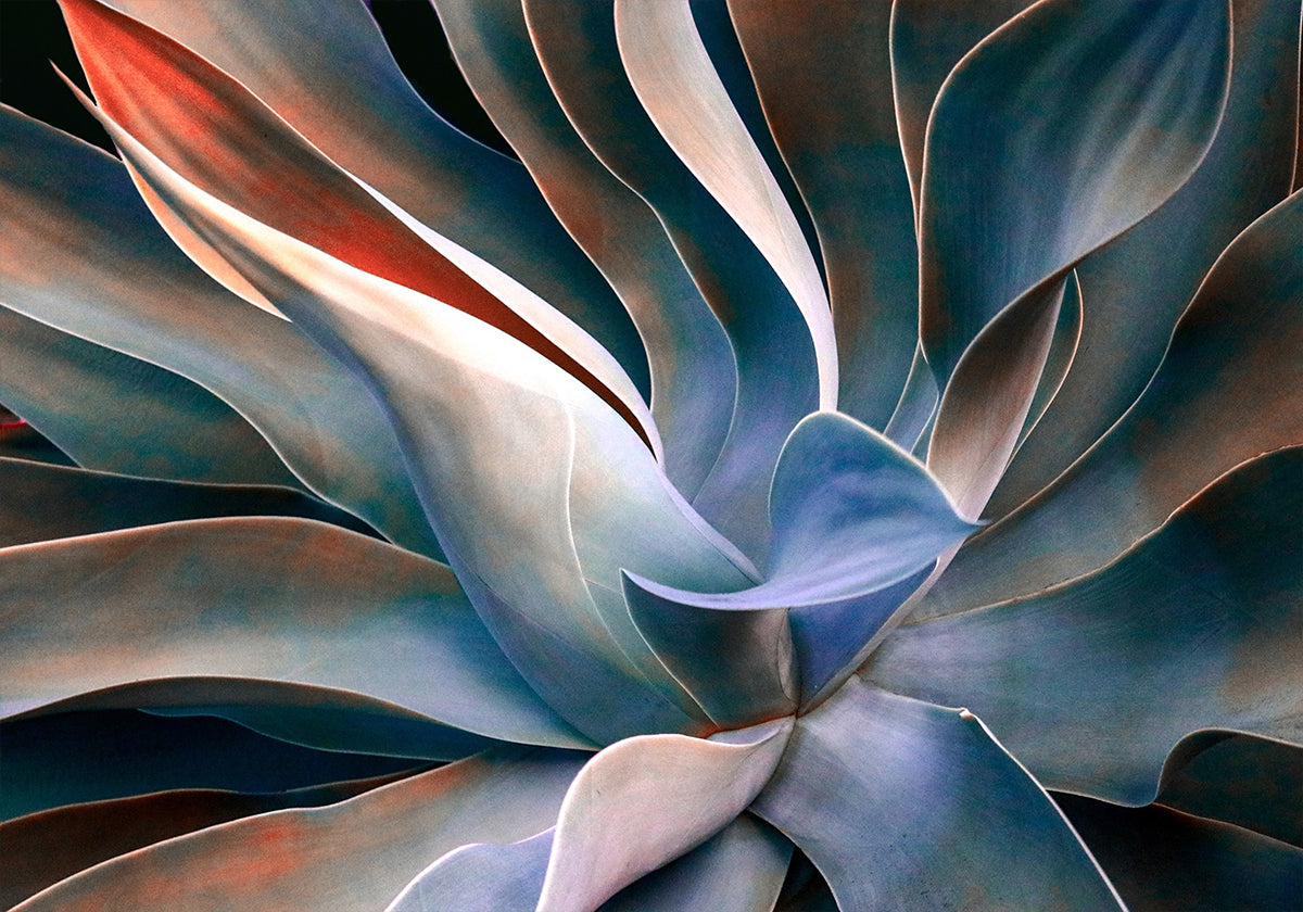 Los colores en las hojas Póster