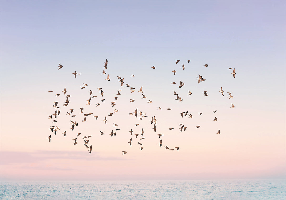 Vuelo al atardecer Póster