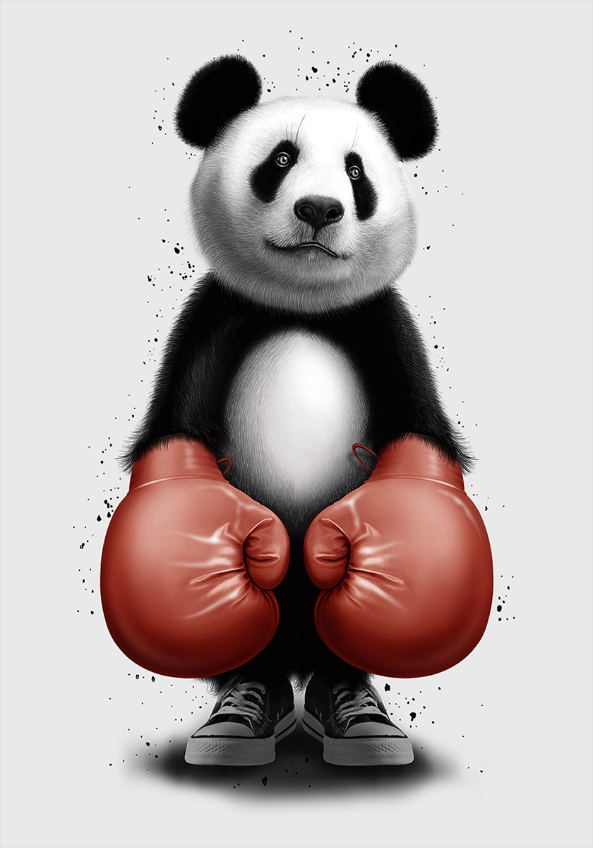 PANDA BOXEADOR Póster