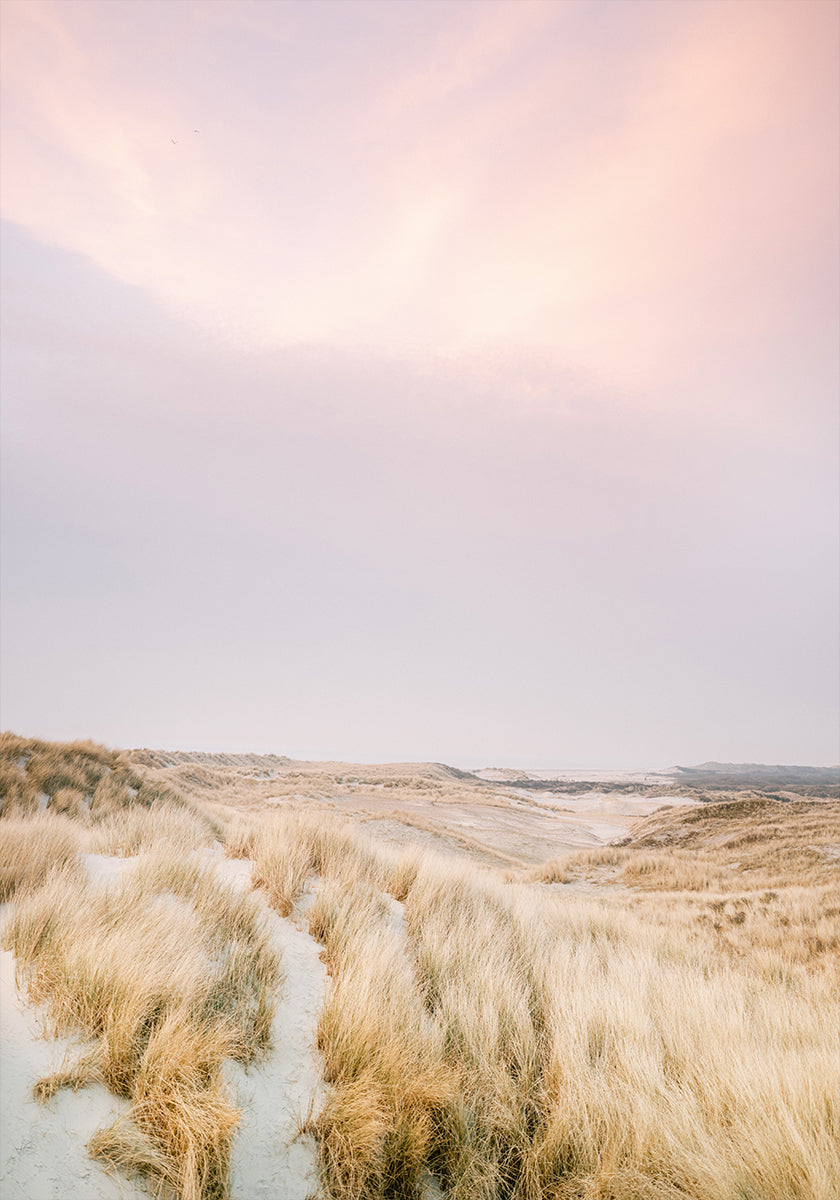 Dunas de Ameland 1 (NUEVO)