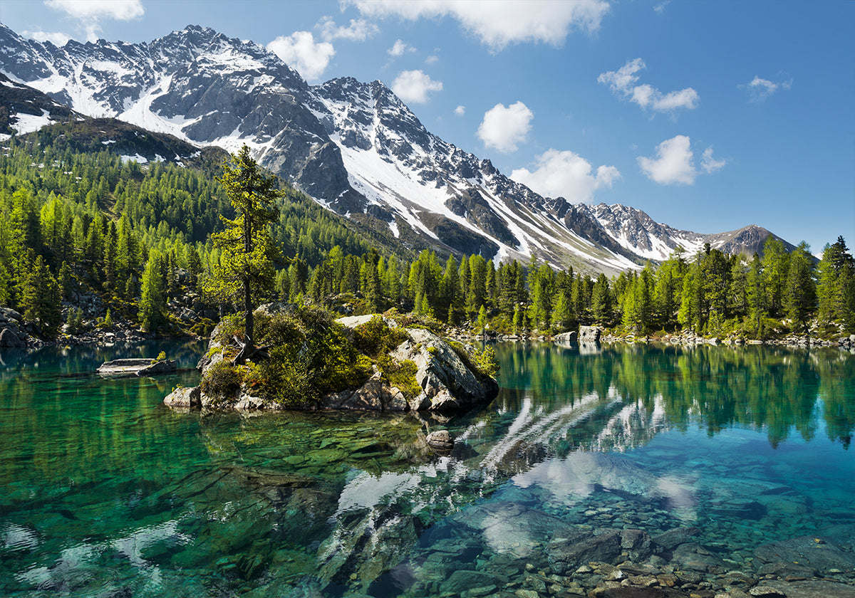 Póster Lago de montaña verde