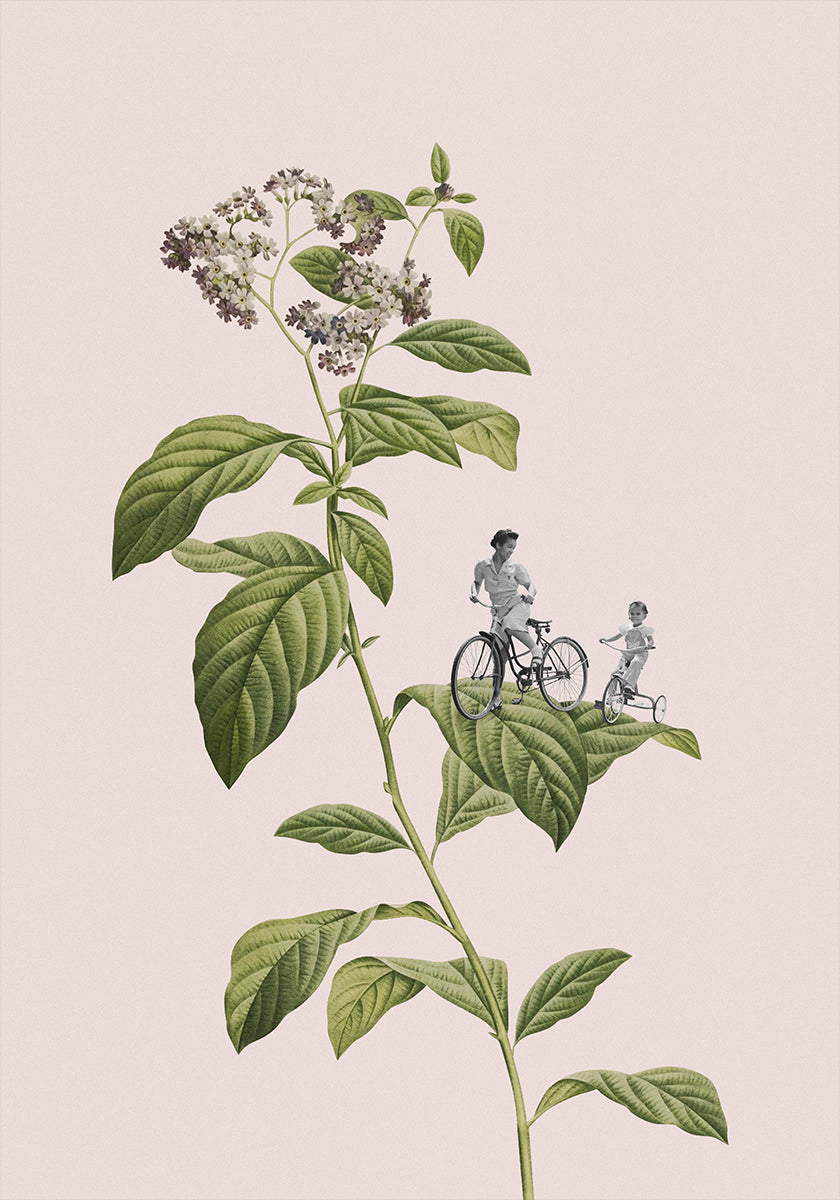 Ciclismo botánico