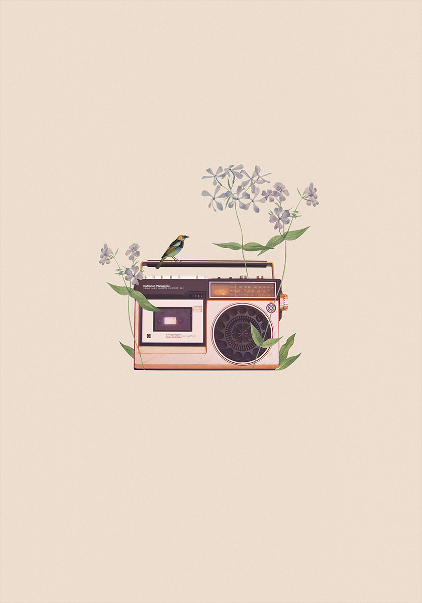 Radio vintage floral Póster