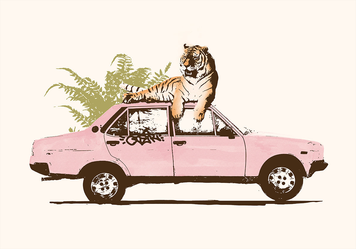 tigre en coche