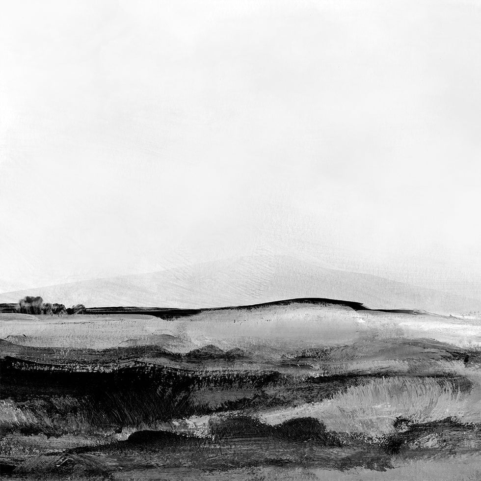 Mono Paisaje No1 Póster
