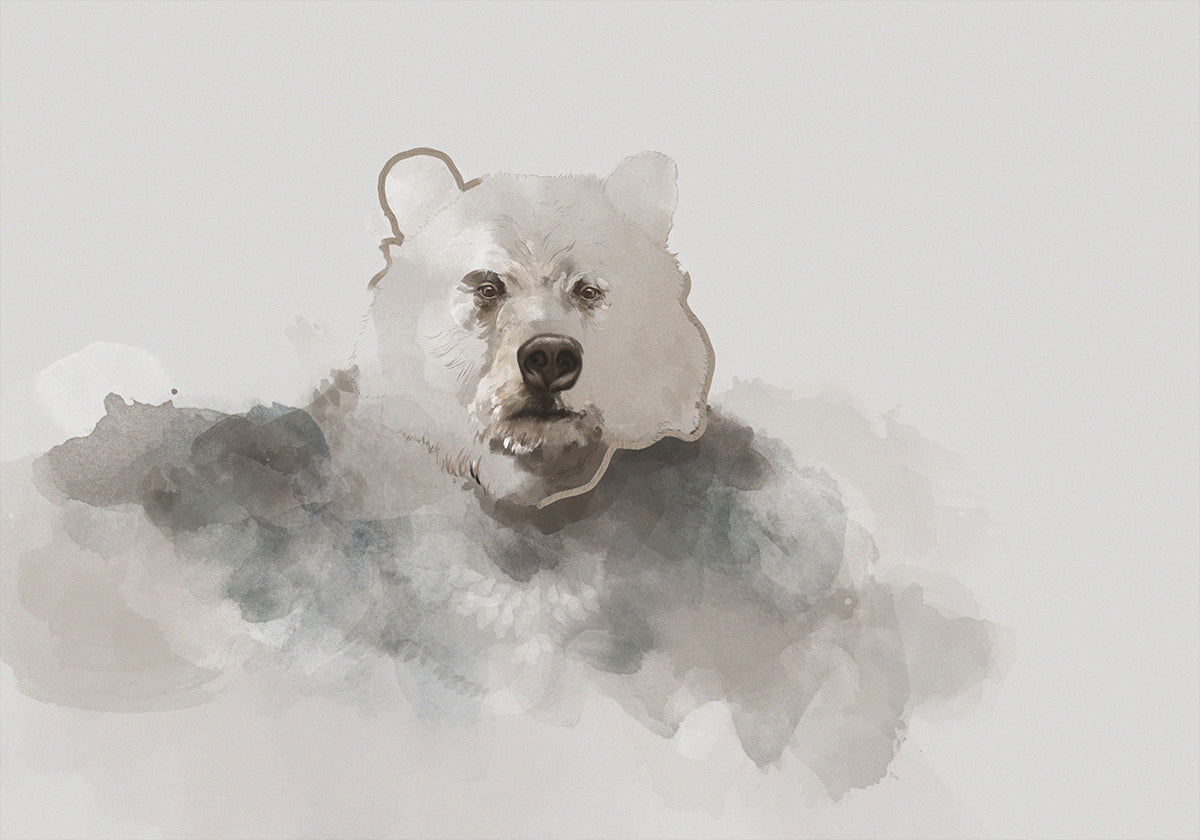 Oso
