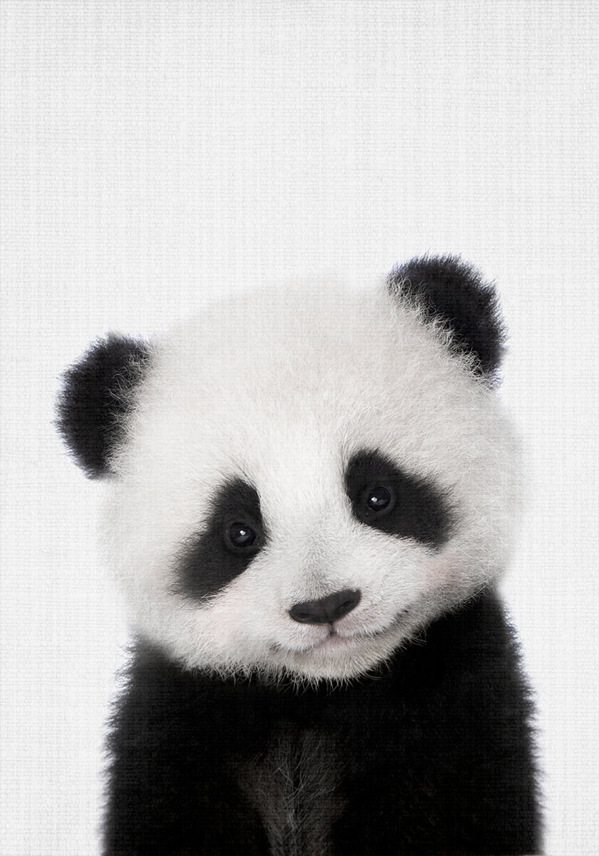 Peekaboo Bebé Panda
