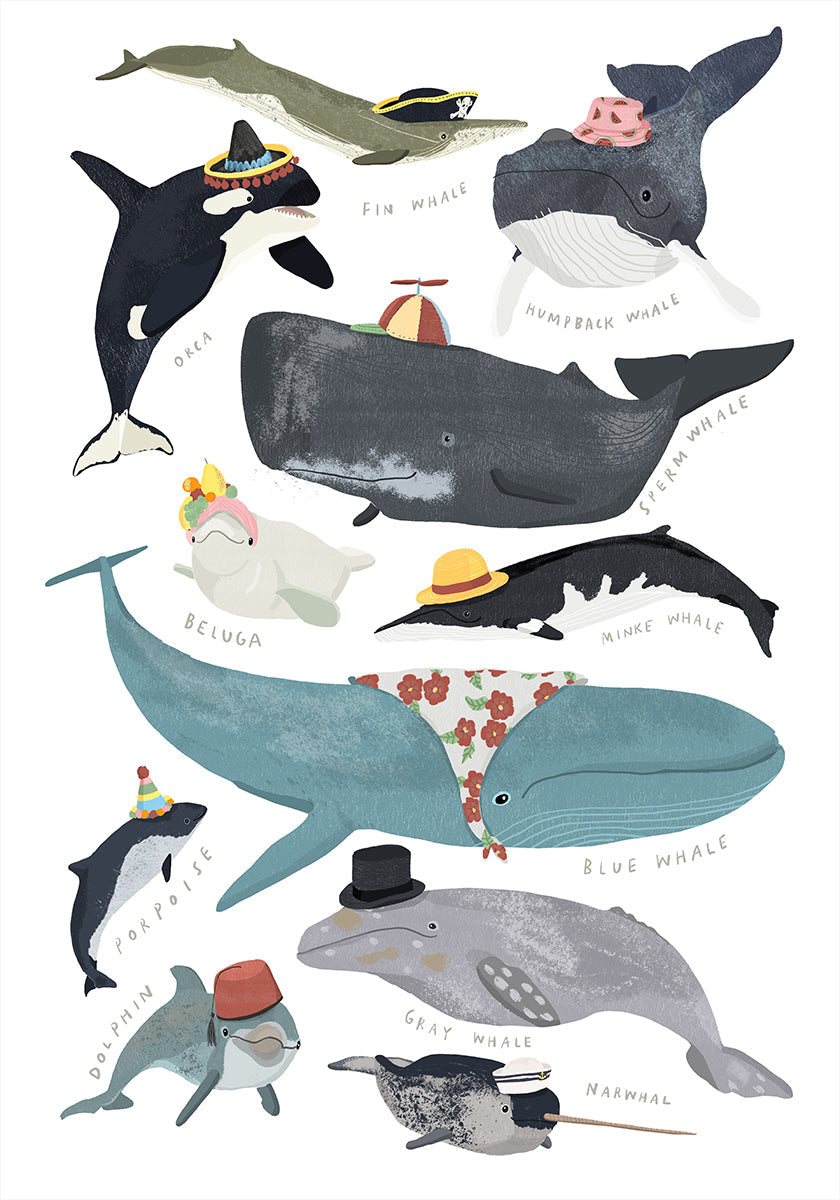 Ballenas con sombreros Póster