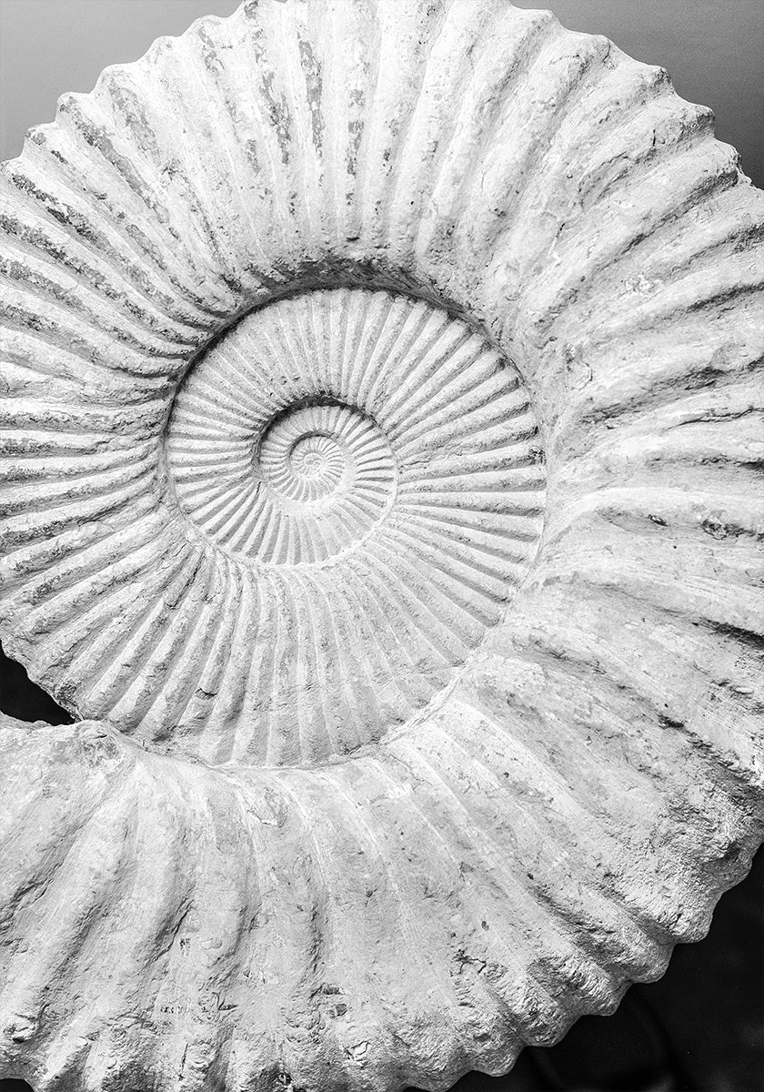 Sueños en espiral antiguos