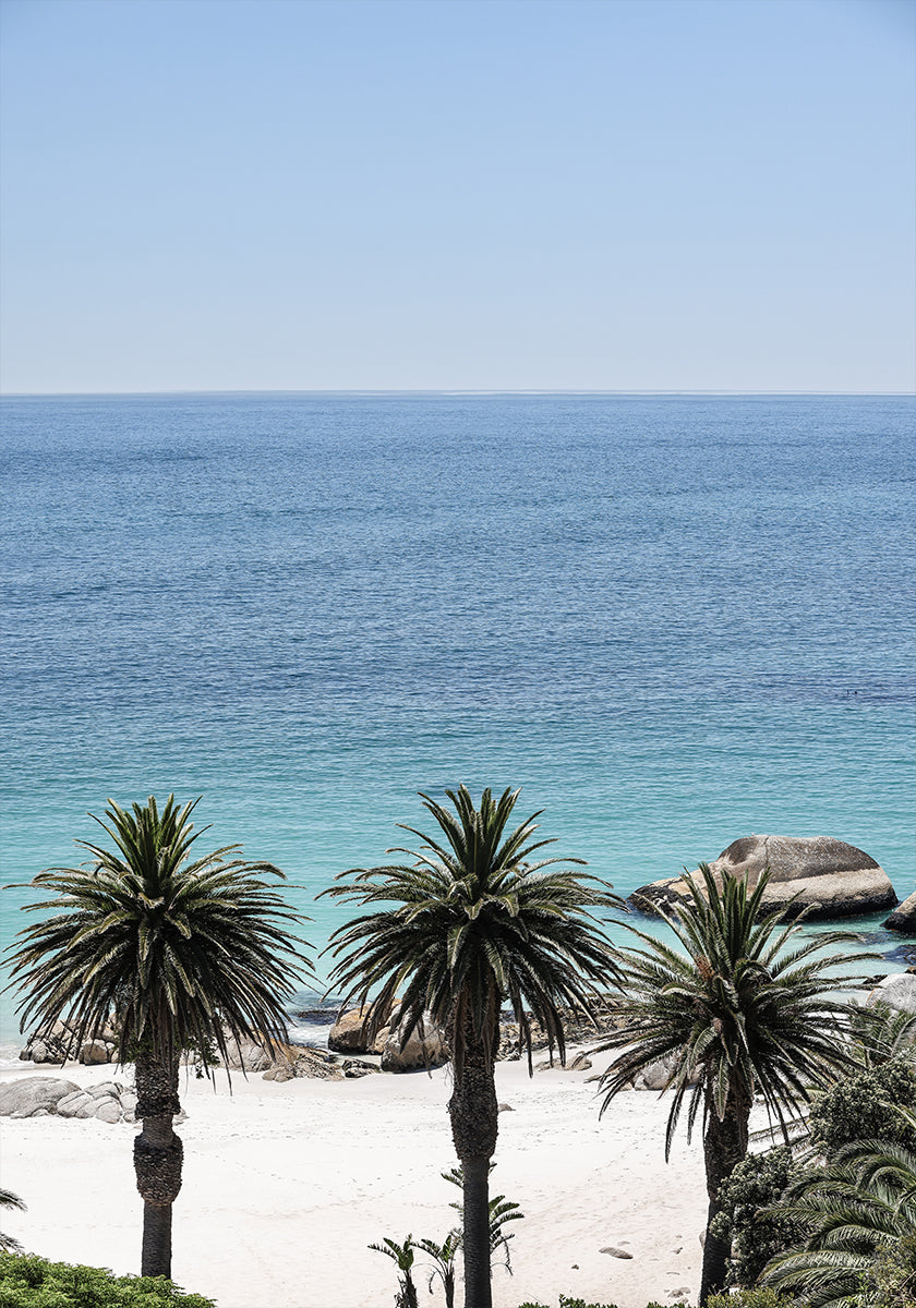 Serenidad Tropical