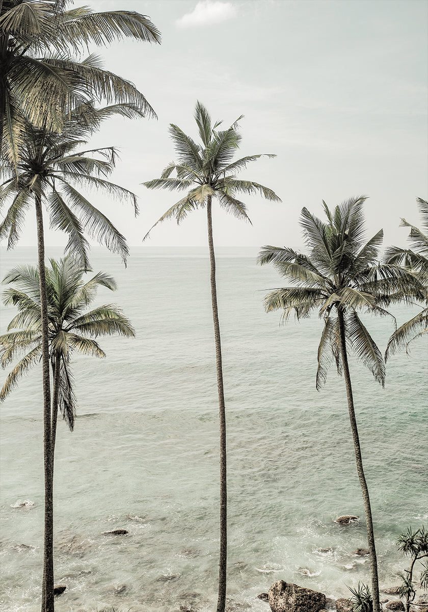 Sueños tropicales Póster