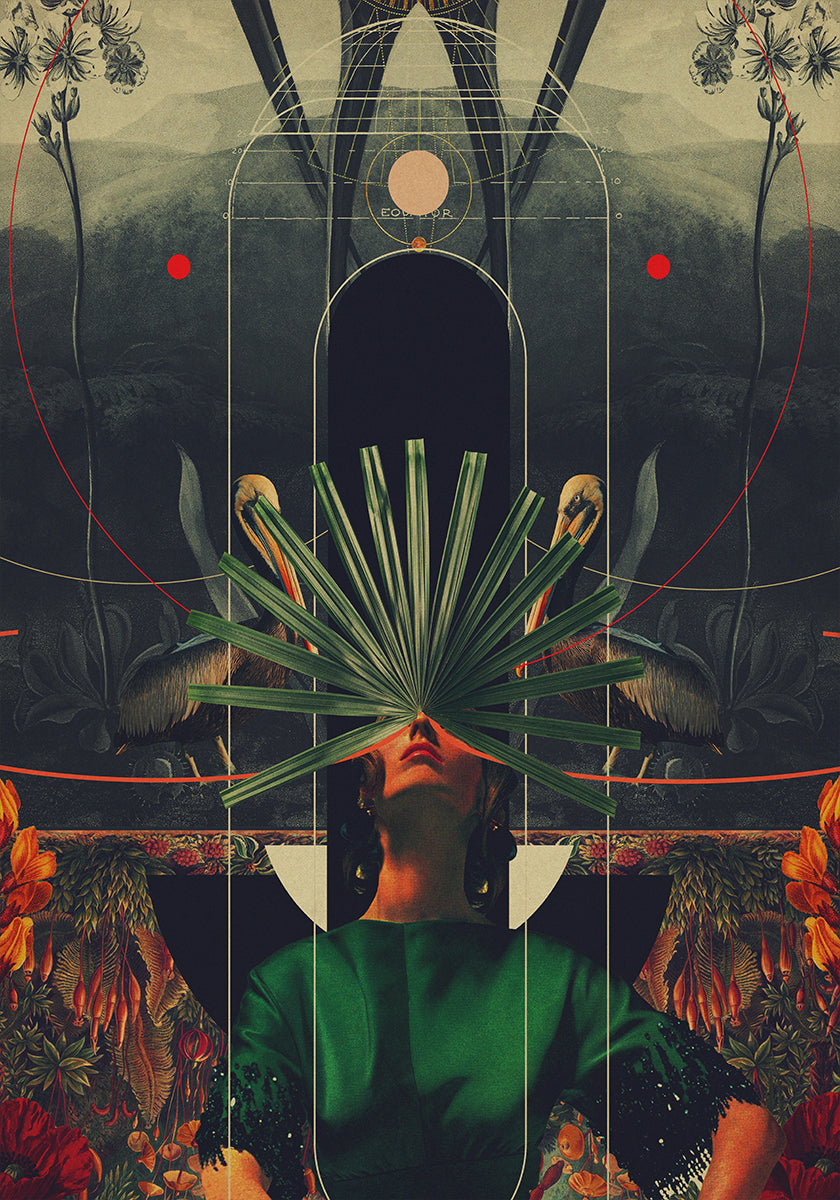 Ella vio el ecuador Póster