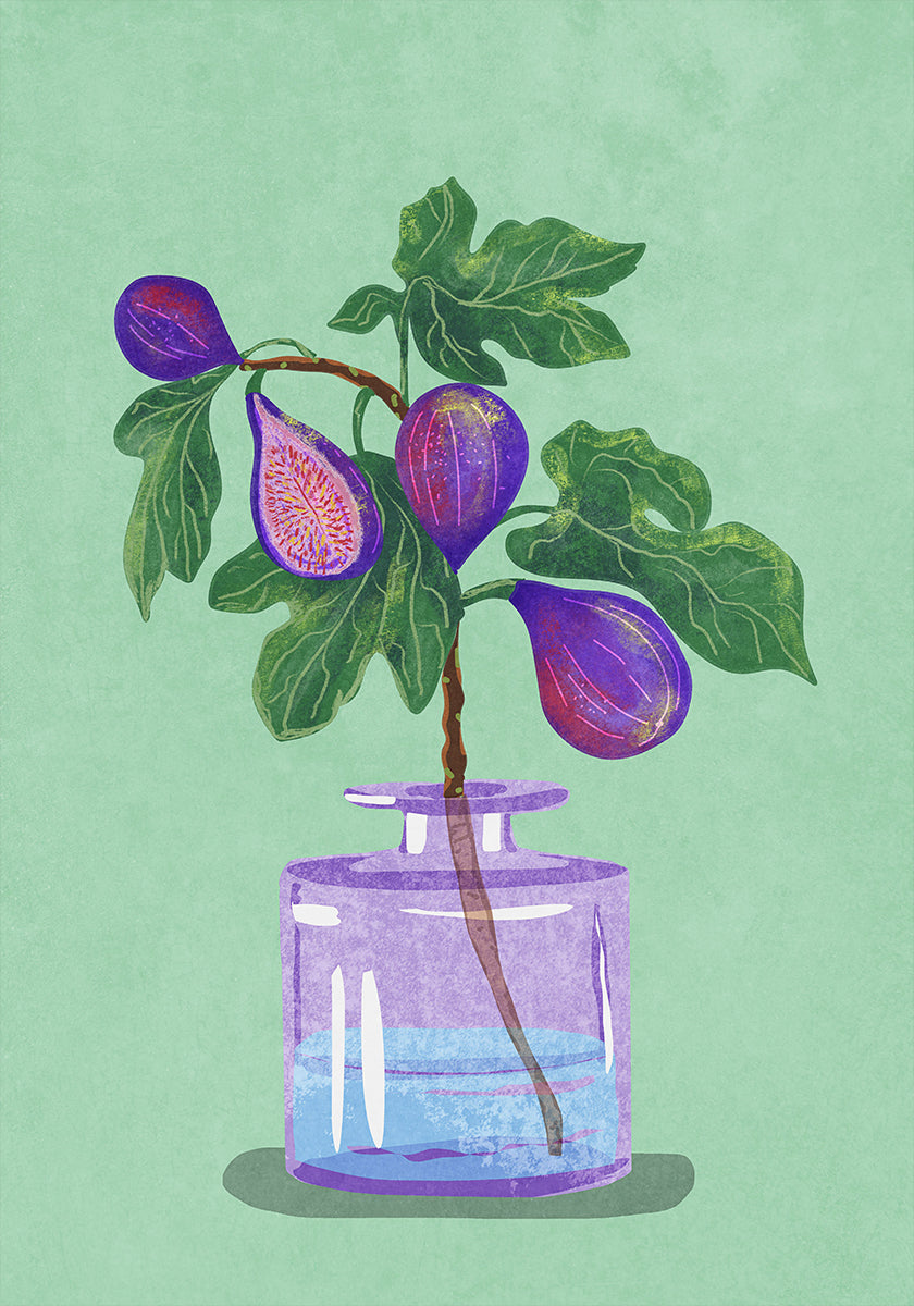 Rama de higo en florero Póster