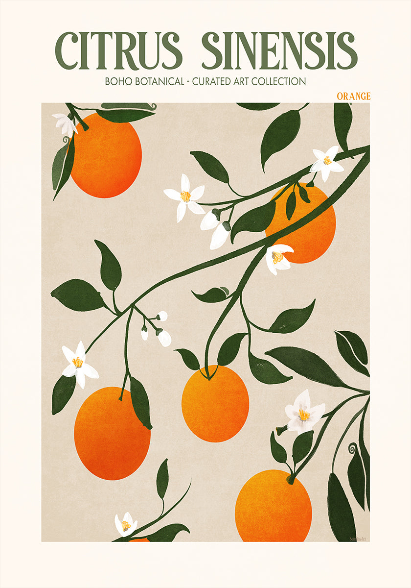 Elegancia naranja Póster
