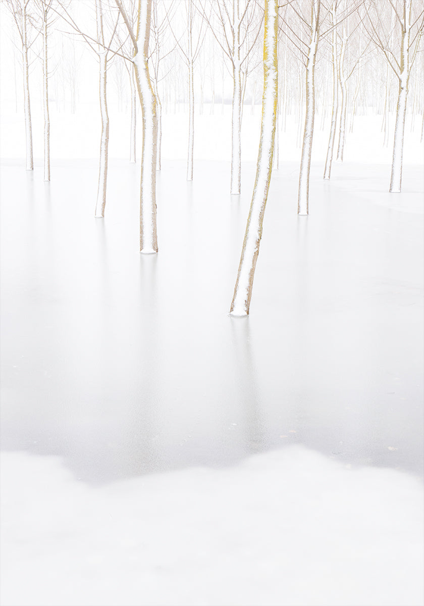 Reflexión de invierno Póster